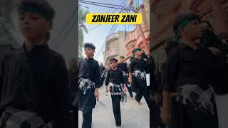 Zanjeer Zani  shorts matam azadar nowgawansadat Muharram Video noha [upl. by Aiza]