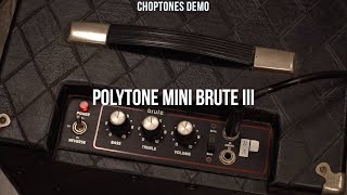 Polytone Mini Brute III  Playthrough Demo [upl. by Ycats645]