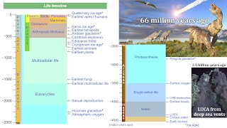 Evolutionary Biology History of Life Mass Extinction Events and Dinosaurs [upl. by Onyx408]