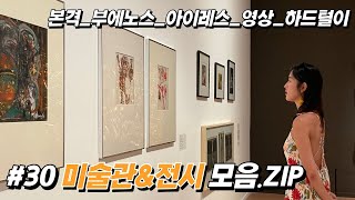 30 부에노스 아이레스 미술관amp전시 모음ZIP [upl. by Brabazon308]