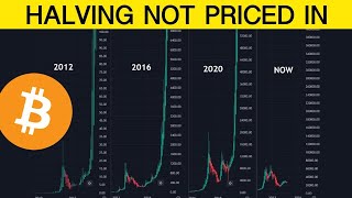 Here’s Why the Bitcoin Halving Is NOT Priced In [upl. by Onaivlis936]