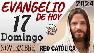 Evangelio de Hoy Domingo 17 de Noviembre de 2024  REFLEXIÓN  Red Catolica [upl. by Arva745]