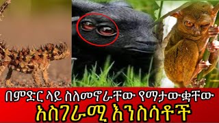 የአለም ህዝብ ስለመኖራቸው የማያውቋቸው አስገራሚ እንስሳቶች  unbeliavable animal in the world ethiopia አስገራሚ [upl. by Yuria843]