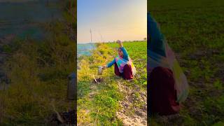 Chai Pila De chai pillow Nisha Meena Ne video comedy funny farming flims love flim [upl. by Oneg]