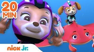 PAW Patrol Pups Transform Into Mermaids w Skye Zuma amp Marshall  Nick Jr [upl. by Emsoc]