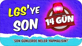 LGSye SON 14 GÜN 💥 Son Günlerde Neler Yapılmalı 🤔 [upl. by Trebla]