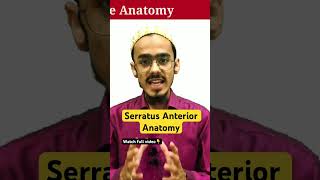 serratus anterior anatomy shortsviral muscle anatomy [upl. by Wood]