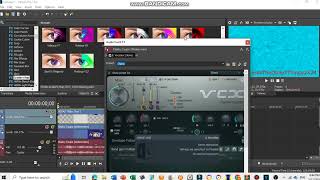 IM LATE How To Make Radioup V23 on Sony Vegas Pro [upl. by Une]