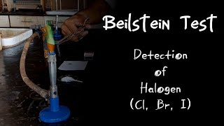 Beilstein Test  Detection of Halogens🕶DDD [upl. by Etnaihc]