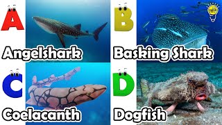 ABC phonics animals  ABC Sea Animals song  English and Animals for Kids  Alphabets Kids Song [upl. by Akelam]