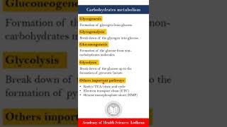 Glycogenesis glycogenolysis Gluconeogenesis amp Glycolysis  Biochemistry  by Imran Yaseen [upl. by Innattirb]