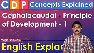 Cephalocaudal Principle of Development CDP Concepts English Explanation [upl. by Aissatan931]