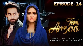 Teri Arzoo  Epsiode 14  Bilal Abbas Khan  Madiha Imam  Anoushey Ashraf  Pakistani New Drama [upl. by Corene]