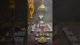 Jaganath Puri Shirangar  youtubeshorts rathyatra [upl. by Atwater]