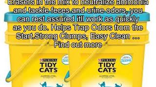 Purina Tidy Cats 35 lb Pail Multiple Cat Clumping Cat Litter Instant Action 4 Pack [upl. by Rourke973]