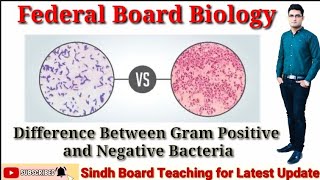 Difference Between Gram Positive and Negative Bacteria mdcat [upl. by Ateekan627]