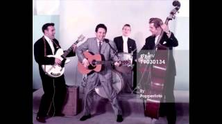 Lonnie Donegan  Lonnies Skiffle Party 1 1958 [upl. by Annaoi]