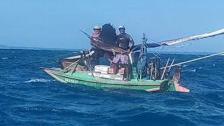 Guerreiros Do Mar AGULHÃO DE VELA quotMARLIN UM PEIXE MUITO DIFÍCIL DE CAPTURAR [upl. by Oswald543]