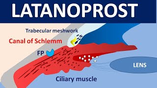 Latanoprost xalatan eye drops  Mechanism precautions side effects amp uses [upl. by Uah]