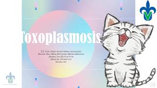 ¿Qué es la toxoplasmosis y como podemos prevenirla [upl. by Shelman]