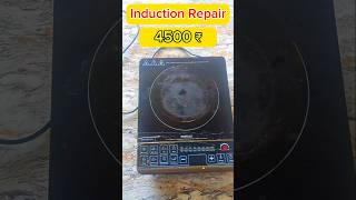 Induction 20 ₹ Main Sudhar Jaega Repair Havells induction ₹ 4500 experiment repair electrical [upl. by Alaek6]