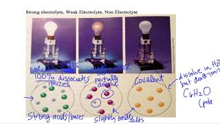 Electrolytes Molarity and Dilutions [upl. by Ob]