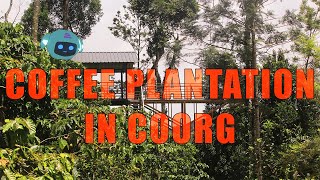 Eng sub Coffee plantation in Coorg  Exploring the view plant varieties and coffee making [upl. by Eicarg881]