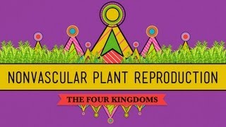 The Reproductive Lives of Nonvascular Plants Alternation of Generations  Crash Course Biology 36 [upl. by Adile]