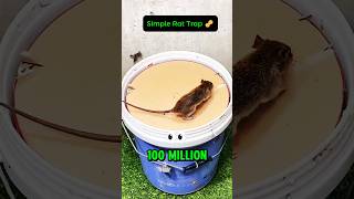 How this simple rat trap got 100 million views 🐀🪣 [upl. by Terrye]