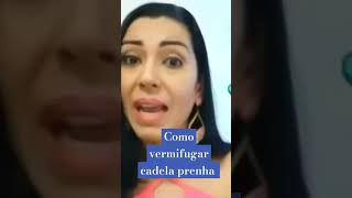 Como vermifugar cadela prenha  saudepet cachorro cuidadopet cuidadoscomgatos [upl. by Acinomad389]