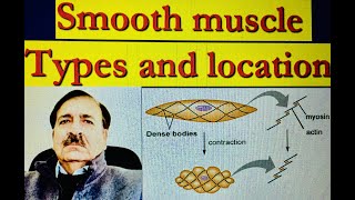 Smooth muscle Location Types Phasic and tonic contraction  Lectures by Dr Alamzeb [upl. by Moir]