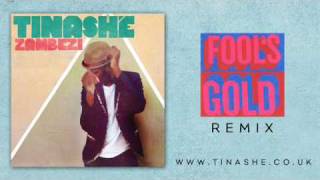 Tinashé  Zambezi Fools Gold remix [upl. by Heger]