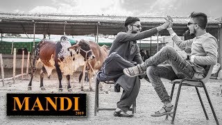 Karachi Maweshi Mandi  Sohrab Goth  2019  Panwari films [upl. by Aurore]