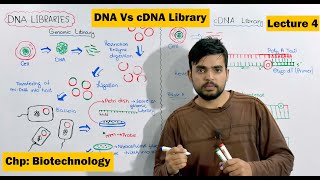 DNA Libraries  Genomic and cDNA Library  Video 4 [upl. by Crellen]