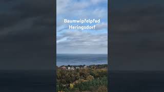 Baumwipfelpfad Heringsdorf [upl. by Joon268]