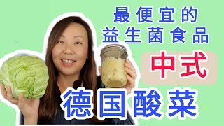 中式德国酸菜做法 最便宜而且健康的益生菌食品Chinese style sauerkraut cheapest and healthy probiotic food [upl. by Enelrae]