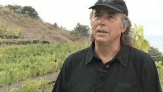 Entrevista con Joan Manuel Serrat en sus viñedos [upl. by Yasmin]