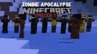 minecraft survival zombie episode 1 [upl. by Ahsiatal]