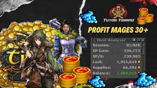 TIBIA  PROFIT INSANO PARA LOW LVL MAGES LVL 30 HASTA 50 MAX  HASTA 125TC EN UNA HORA [upl. by Anneuq]