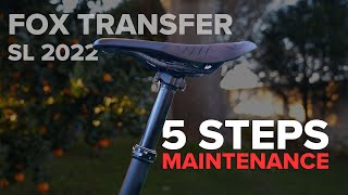 Fox Transfer SL 2022 Dropper  5 Maintenance Steps it would THANK YOU for [upl. by Itsuj990]