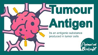 Tumour antigens  Tumour specific antigen  Tumourassociated antigen  Tumour immunity [upl. by Rimidalv]