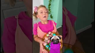 OH MY DOG THIS MADHOUSE 🤪 dog funnyanimals [upl. by Avra]