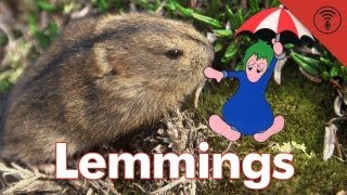 Dont Be Dumb Lemmings  Stuff You Should Know [upl. by Anelegna]