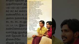 Para para paravai ondru song female version  Neer paravai movie  NRRagunandhan music  sreya [upl. by Eniluqcaj188]