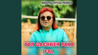 TOR GACHHER PAKA FOL [upl. by Nabatse485]