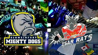 TEASER MIGHTY DOGS SCHWEINFURT  EV DINGOLFING [upl. by Hewitt]