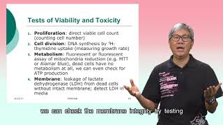 Cytotoxicity Assays 2 How to perform cytotoxicity assays [upl. by Navarro]