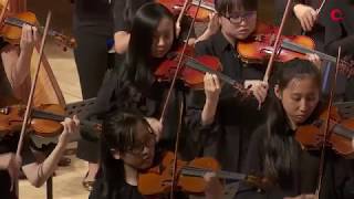 Britten Variations on a Theme of Frank Bridge excerpts DGS String Orchestra [upl. by Batsheva]