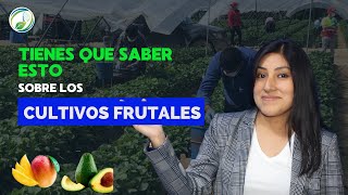 grupos de cultivos frutales su importancia y su micropropagación [upl. by Bogey77]