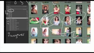Que son los catalogos de lightroom [upl. by Netty]